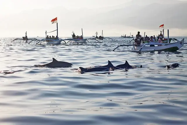 Munduk & Lovina: Destinasi Wajib di Bali Utara Tahun 2026